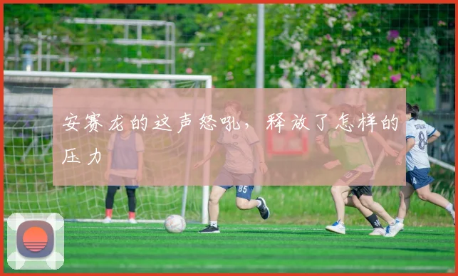 安赛龙的这声怒吼，释放了怎样的压力