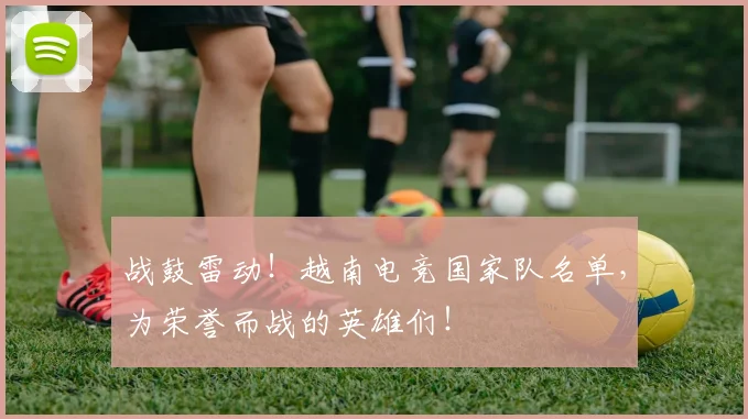 战鼓雷动！越南电竞国家队名单，为荣誉而战的英雄们！